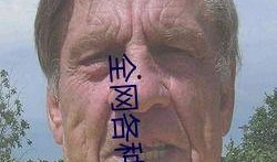 吃瓜网在线观看视频,热门视频在线观看，揭秘幕后故事